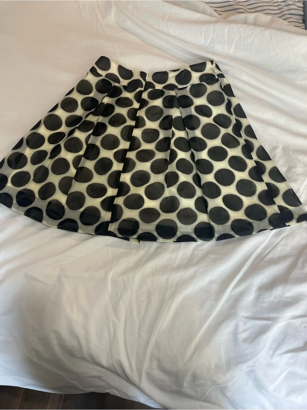 The Limited Black Polka Dot Skater Skirt on Cream